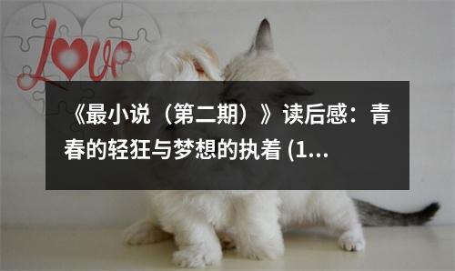 《最小說（第二期）》讀后感：青春的輕狂與夢(mèng)想的執(zhí)著 (1150字)