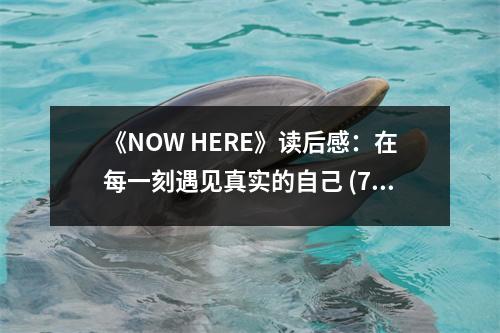 《NOW HERE》讀后感：在每一刻遇見(jiàn)真實(shí)的自己 (700字)