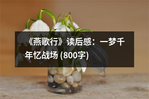 《燕歌行》讀后感：一夢千年憶戰(zhàn)場 (800字)