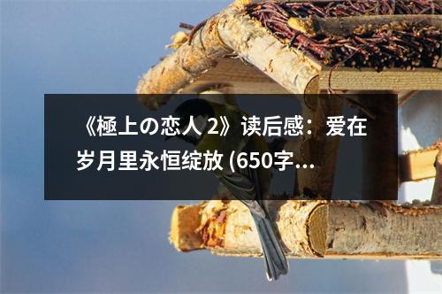 《極上の戀人 2》讀后感：愛在歲月里永恒綻放 (650字)