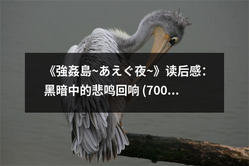 《強(qiáng)姦島~あえぐ夜~》讀后感：黑暗中的悲鳴回響 (700字)