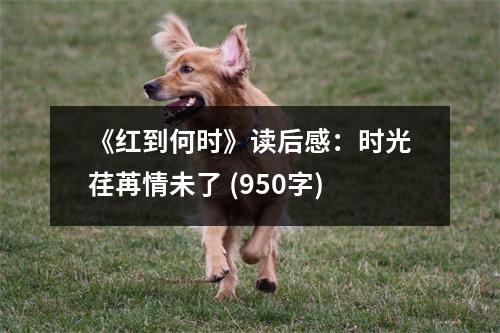 《紅到何時(shí)》讀后感：時(shí)光荏苒情未了 (950字)