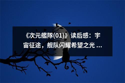 《次元艦隊(01)》讀后感：宇宙征途，艦隊閃耀希望之光 (900字)