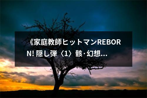 《家庭教師ヒットマンREBORN! 隠し弾〈1〉骸·幻想》讀后感：心靈震撼，再燃熱血 (650字)