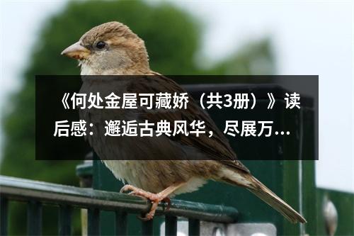 《何處金屋可藏嬌（共3冊）》讀后感：邂逅古典風華，盡展萬千風情 (800字)