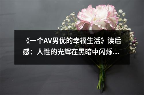 《一個(gè)AV男優(yōu)的幸福生活》讀后感：人性的光輝在黑暗中閃爍 (1250字)