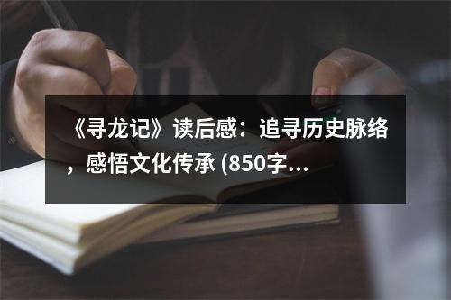 《尋龍記》讀后感：追尋歷史脈絡(luò)，感悟文化傳承 (850字)