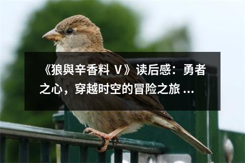 《狼與辛香料 Ⅴ》讀后感：勇者之心，穿越時(shí)空的冒險(xiǎn)之旅 (700字)