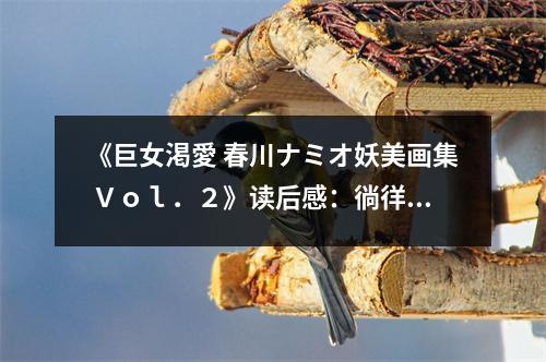《巨女渇愛 春川ナミオ妖美畫集 Ｖｏｌ．２》讀后感：徜徉于夢(mèng)幻妖嬈的世界 (750字)