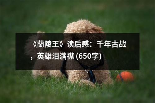 《蘭陵王》讀后感：千年古戰(zhàn)，英雄淚滿襟 (650字)
