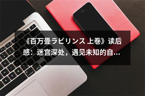 《百萬畳ラビリンス 上巻》讀后感：迷宮深處，遇見未知的自己 (900字)