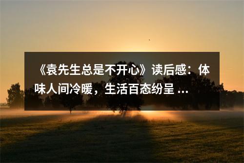 《袁先生總是不開心》讀后感：體味人間冷暖，生活百態(tài)紛呈 (1100字)