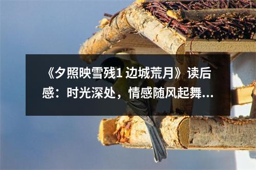 《夕照映雪殘1 邊城荒月》讀后感：時(shí)光深處，情感隨風(fēng)起舞 (750字)
