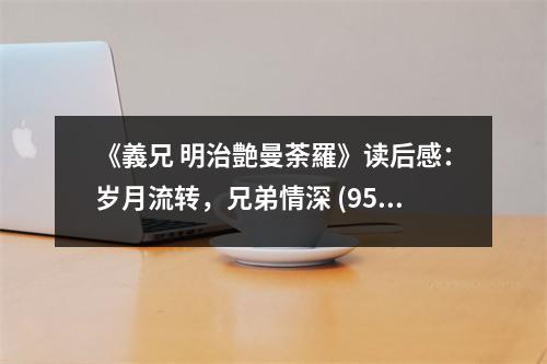 《義兄 明治艶曼荼羅》讀后感：歲月流轉(zhuǎn)，兄弟情深 (950字)