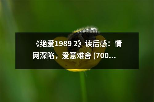 《絕愛1989 2》讀后感：情網(wǎng)深陷，愛意難舍 (700字)