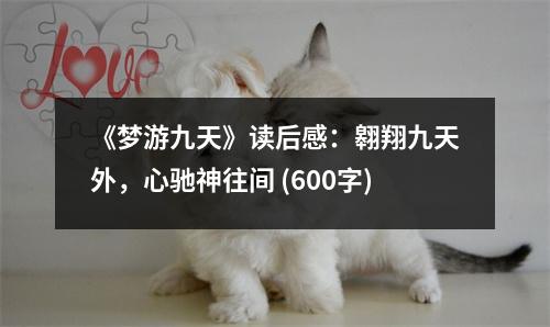 《夢游九天》讀后感：翱翔九天外，心馳神往間 (600字)
