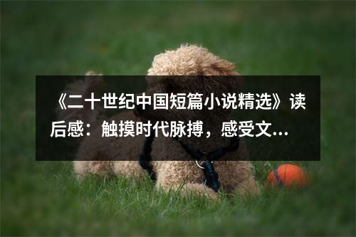 《二十世紀(jì)中國短篇小說精選》讀后感：觸摸時(shí)代脈搏，感受文學(xué)魅力 (850字)