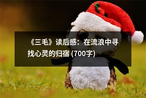 《三毛》讀后感：在流浪中尋找心靈的歸宿 (700字)