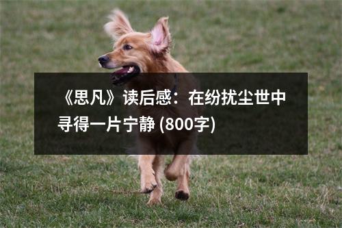 《思凡》讀后感：在紛擾塵世中尋得一片寧?kù)o (800字)