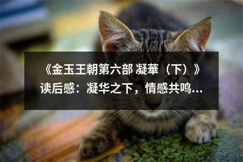 《金玉王朝第六部 凝華（下）》讀后感：凝華之下，情感共鳴淚兩行 (650字)