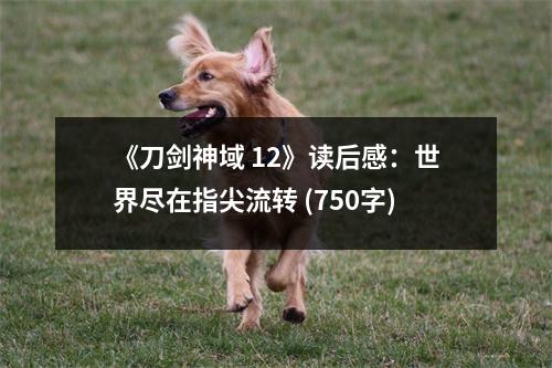 《刀劍神域 12》讀后感：世界盡在指尖流轉(zhuǎn) (750字)
