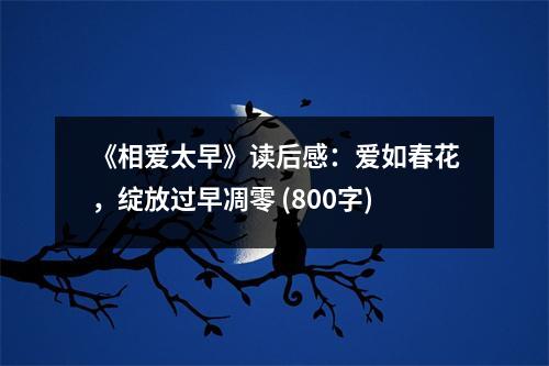 《相愛(ài)太早》讀后感：愛(ài)如春花，綻放過(guò)早凋零 (800字)