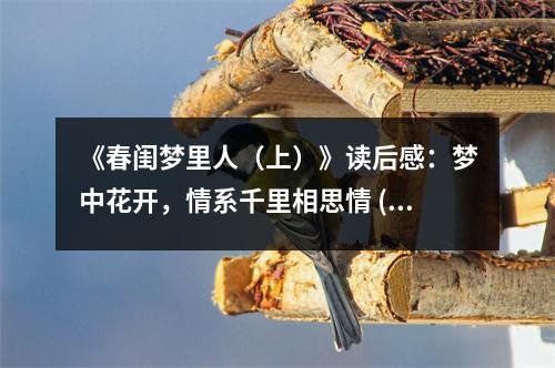 《春閨夢(mèng)里人（上）》讀后感：夢(mèng)中花開，情系千里相思情 (700字)