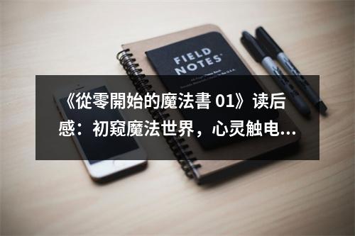 《從零開始的魔法書 01》讀后感：初窺魔法世界，心靈觸電瞬間 (850字)