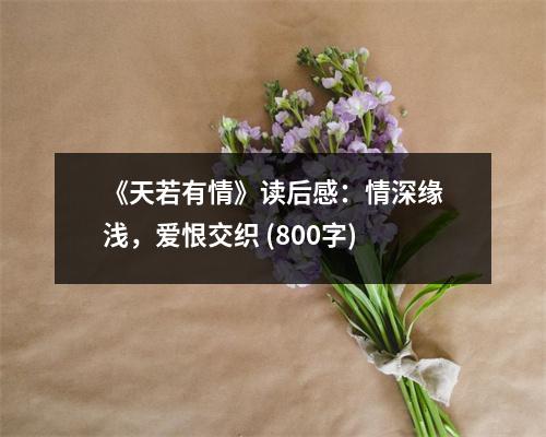 《天若有情》讀后感：情深緣淺，愛恨交織 (800字)