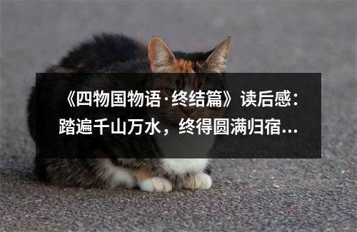 《四物國物語·終結(jié)篇》讀后感：踏遍千山萬水，終得圓滿歸宿 (750字)