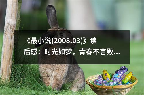 《最小說(shuō)(2008.03)》讀后感：時(shí)光如夢(mèng)，青春不言敗 (600字)