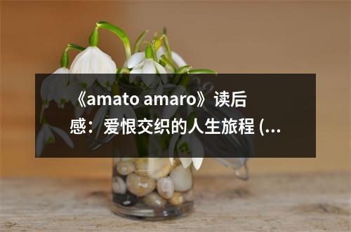 《amato amaro》讀后感：愛恨交織的人生旅程 (800字)