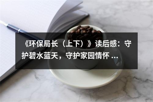 《環(huán)保局長（上下）》讀后感：守護碧水藍天，守護家園情懷 (800字)