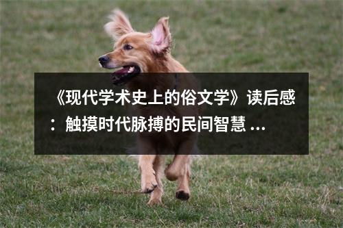 《現(xiàn)代學(xué)術(shù)史上的俗文學(xué)》讀后感：觸摸時代脈搏的民間智慧 (950字)
