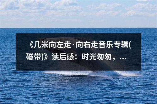 《幾米向左走·向右走音樂專輯(磁帶)》讀后感：時光匆匆，回憶如歌 (750字)
