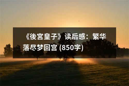 《後宮皇子》讀后感：繁華落盡夢回宮 (850字)
