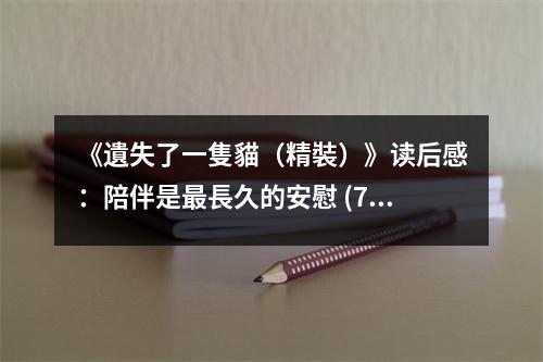 《遺失了一隻貓（精裝）》讀后感：陪伴是最長久的安慰 (750字)