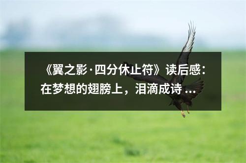 《翼之影·四分休止符》讀后感：在夢想的翅膀上，淚滴成詩 (750字)