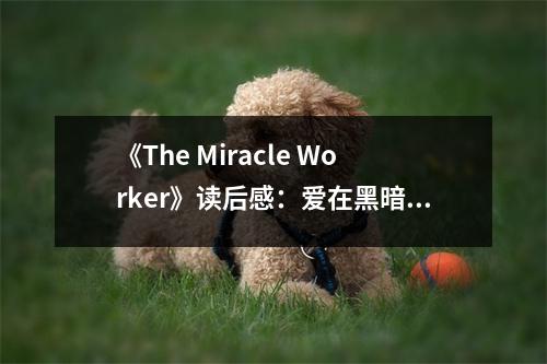 《The Miracle Worker》讀后感：愛(ài)在黑暗中綻放希望 (1050字)