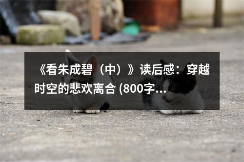 《看朱成碧（中）》讀后感：穿越時(shí)空的悲歡離合 (800字)