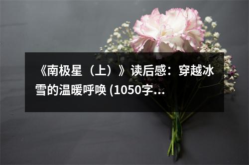 《南極星（上）》讀后感：穿越冰雪的溫暖呼喚 (1050字)