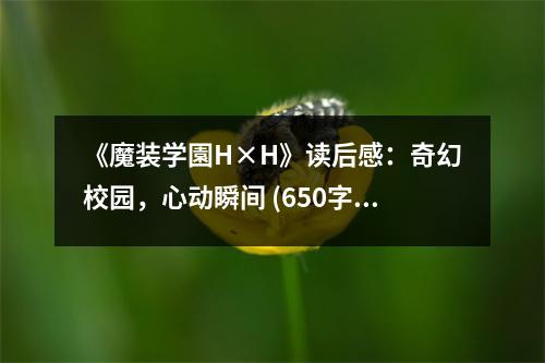 《魔裝學(xué)園H×H》讀后感：奇幻校園，心動瞬間 (650字)
