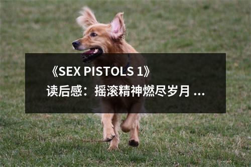 《SEX PISTOLS 1》讀后感：搖滾精神燃盡歲月 (750字)