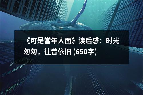 《可是當(dāng)年人面》讀后感：時(shí)光匆匆，往昔依舊 (650字)
