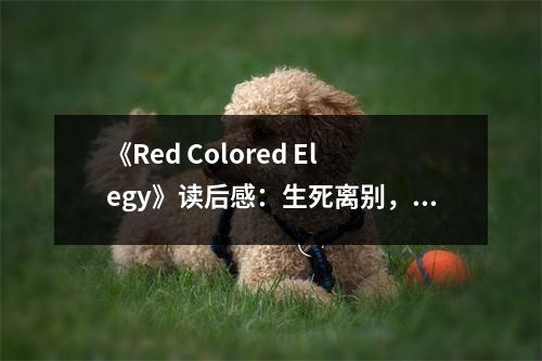 《Red Colored Elegy》讀后感：生死離別，淚染紅塵 (1250字)