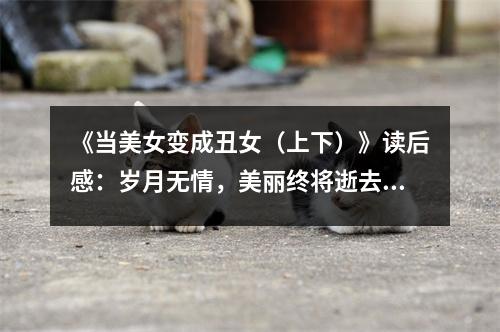 《當(dāng)美女變成丑女（上下）》讀后感：歲月無(wú)情，美麗終將逝去 (700字)