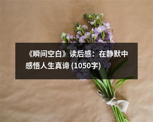 《瞬間空白》讀后感：在靜默中感悟人生真諦 (1050字)