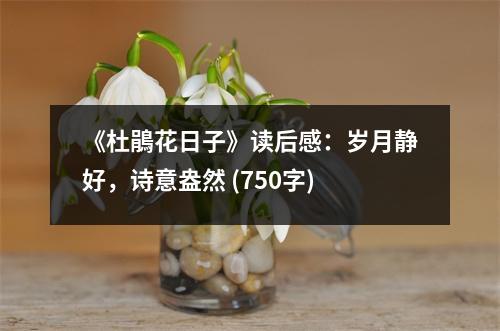 《杜鵑花日子》讀后感：歲月靜好，詩意盎然 (750字)