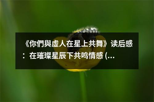 《你們與虛人在星上共舞》讀后感：在璀璨星辰下共鳴情感 (850字)