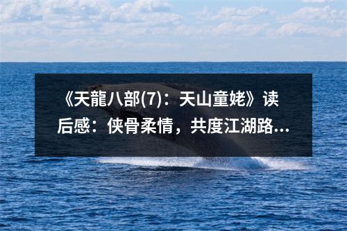 《天龍八部(7)：天山童姥》讀后感：俠骨柔情，共度江湖路 (1100字)